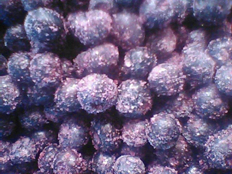 IQF蓝莓